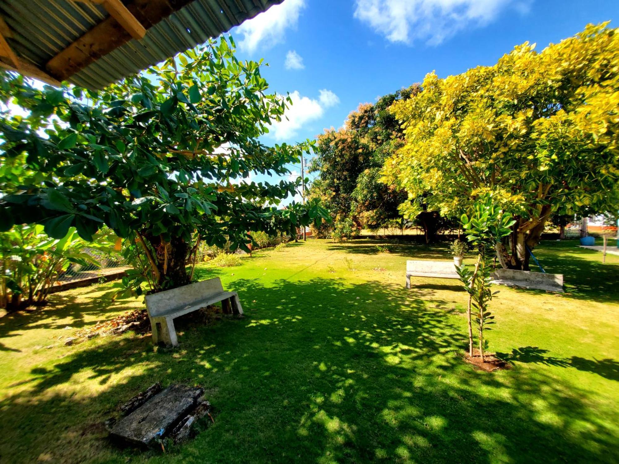 Appartamento The Little Dream House Little Corn Island Esterno foto