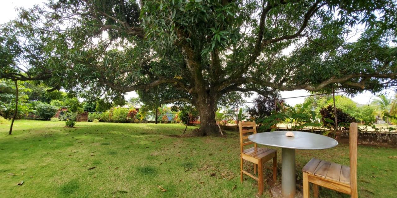 Appartamento The Little Dream House Little Corn Island Esterno foto